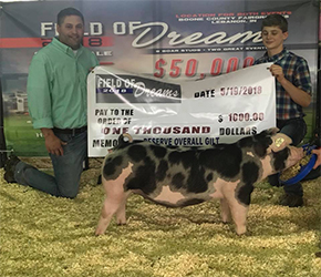 Loveless Winners