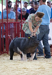 Loveless Winners