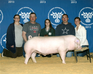 Loveless Winners