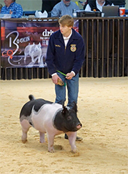 Loveless Winners