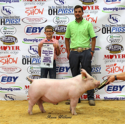 Loveless Winners