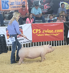 Loveless Winners