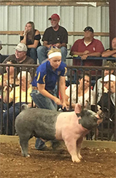 Loveless Winners