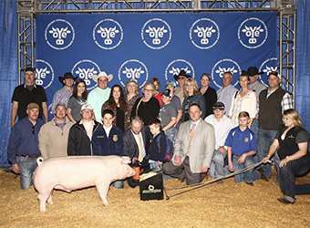 Loveless Winners