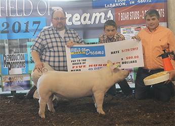 Loveless Winners